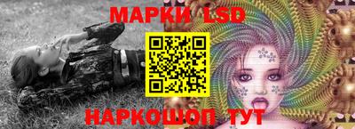 сатива Можга