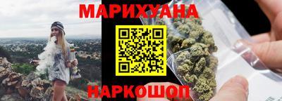 сатива Можга