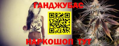 сатива Можга