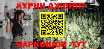 сатива Можга