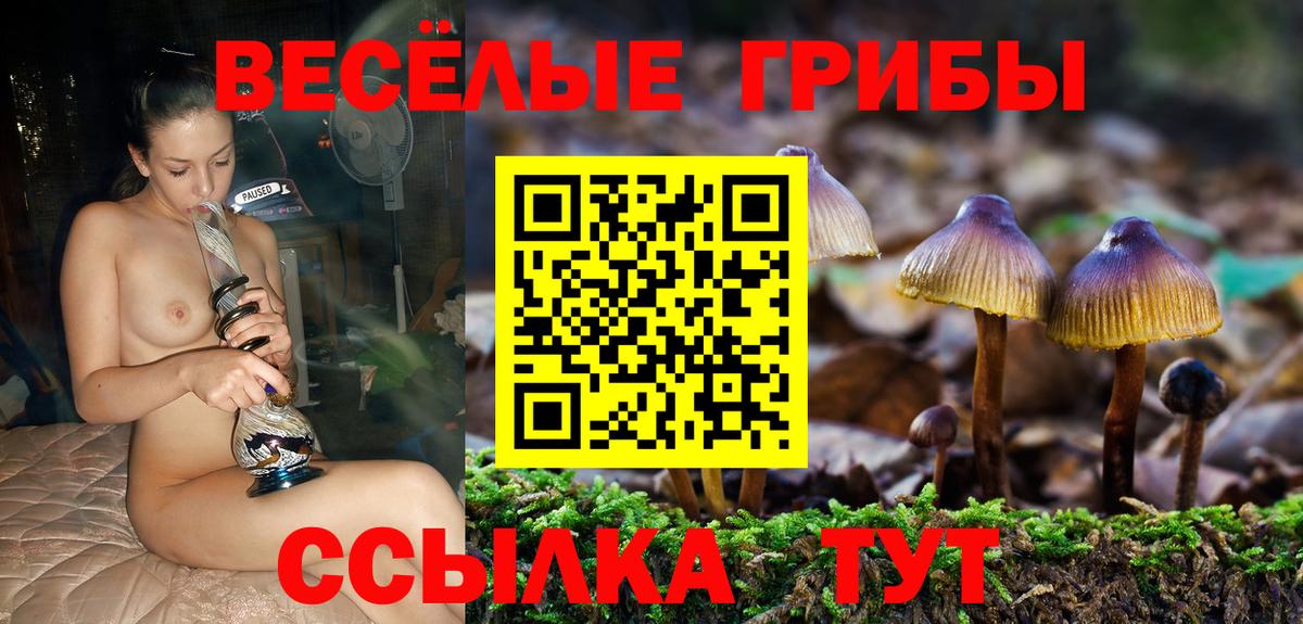 Псилоцибиновые грибы GOLDEN TEACHER Гусиноозёрск